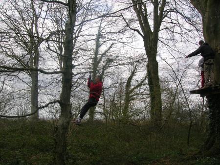 SUR UN ARBRE PERCH�