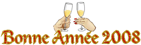 ANNEE 2008